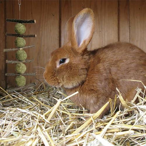 LWINGFLYER 4 Pack Bunny Chew Toys Apple Wood Chews Rabbit Cage Hanging Grass Cake Snack Treat for Teeth Grinding Improve Small Pet Guinea Pigs Chinchillas Hamsters Parrots Dental Health