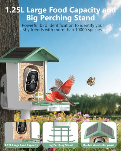 Bird Feeder with Camera, 2K Smart BirdCamera with Solar Powered, AI Identify Birds Species, Instant Arrival Alerts, 2.4Ghz WiFi Bird House for Outdoors, Ideal Gift for Family and Bird Lovers (Green) - color: Green