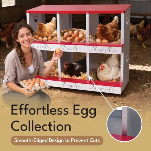 Chicken Nesting Boxes Rollout Egg Laying Collection 2Compartment Red - color: Red, size: 2 HOLE