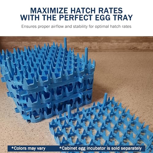 Universal Chicken Egg Trays (6 pack)