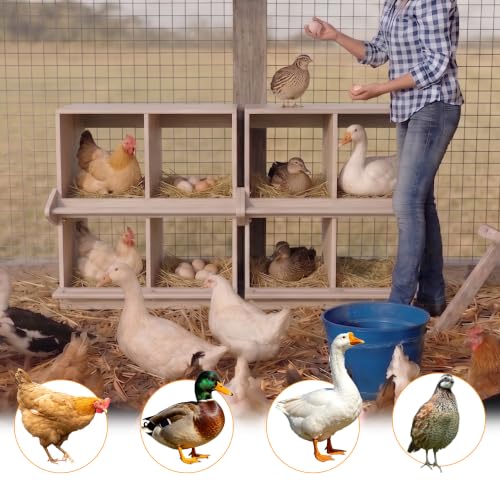 Wooden Nesting Boxes for Chickens Two-Tier Chicken Nesting Box with Swing Perches Floor and Wall Mount Large Laying Eggs Nest Box for Chickens Hens Ducks Poultry (4 Compartments) - size: 4 Compartments