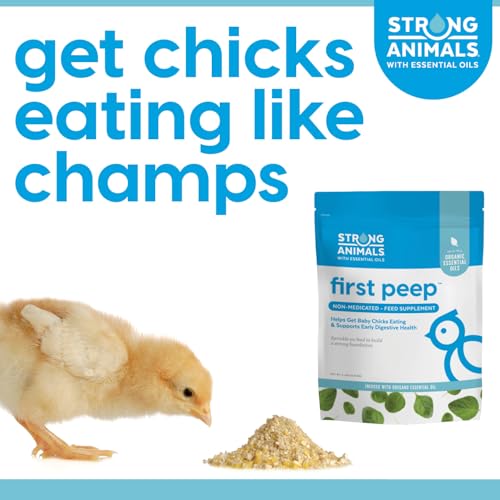 First Peep Chick Feed Supplement with Oregano Oil 2 lb | Non-medicated, Organic oregano oil, Kelp & prebiotics, Helps chicks start eating sooner, Supports early digestive health