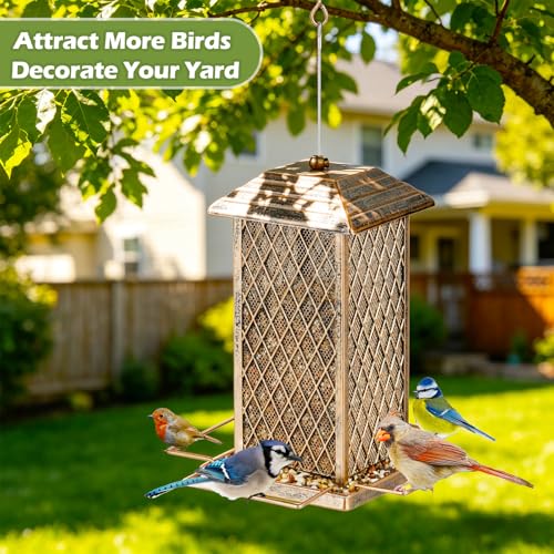 Bird Feeder, Heavy Duty Metal Bird Feeders for Outdoor Hanging | 3LB Large Capacity, 4 Perches, Wild Birdfeeder, Sturdy, Easy to Fill, For Outside Garden Yard - color: Small, 3 lbs