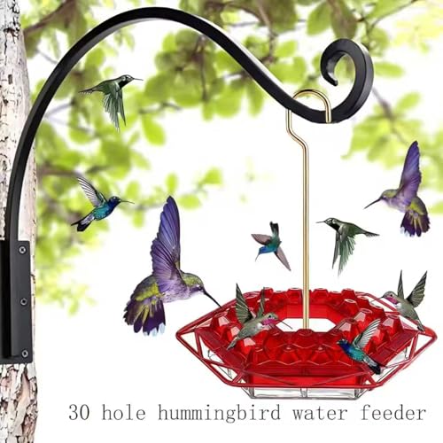 Hummingbird Feeder with Ant-Proof Moat Hummingbird Feeder, Easy to Clean and Refill Includes Hanging Hook, Features 30 Feeding Ports (Red 1PCS) - color: Red 1PCS