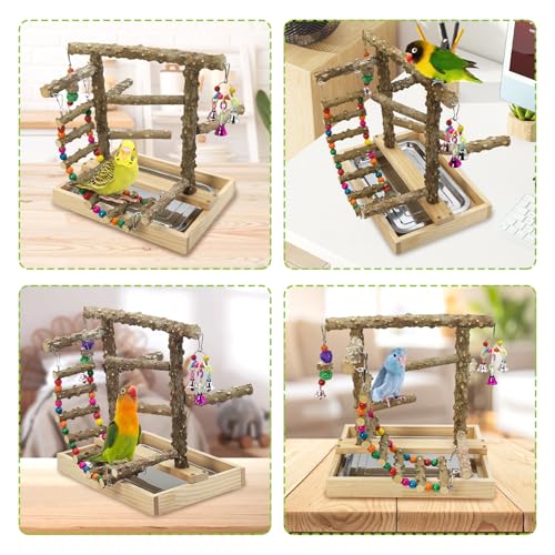 BNOSDM Natural Wood Bird Playground for Training & Playing, Parrot Perch Stand Jungle Gym with Hanging Bridge & Detachable Tray Parakeet Cage Playstand for Budgie, Cockatiel, African Grey - color: Bird Stand with Bridge