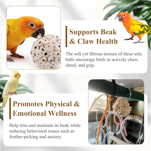 6PCS Natural Sola Balls Bird Chew Toys 2.36", Soft Shredding Biting Toy for Parakeets, Cockatiels, Budgies, Conures, Lovebirds & Small Pets