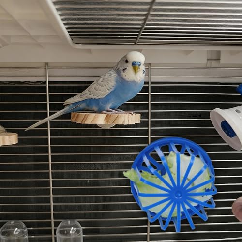 6 Pcs Bird Cage Food Holder Birdcage Foraging Toy Detachable Egg Holder for Small Size Bird Parrot Canary Finch Cockatiel