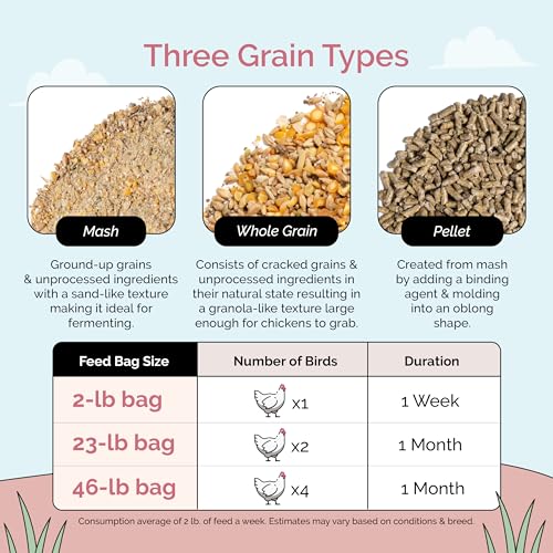 Mile Four Organic Chicken Feed, Layer Whole Grain, Non-GMO, US Grown 46 lbs | 16% Protein; Corn & Soy-Free; USA Grown; Non-Medicated; No Fillers or Additives; Supports Egg Production; Family Farm Sourced - size: 46 Pound (Pack of 1), style: Whole Grain