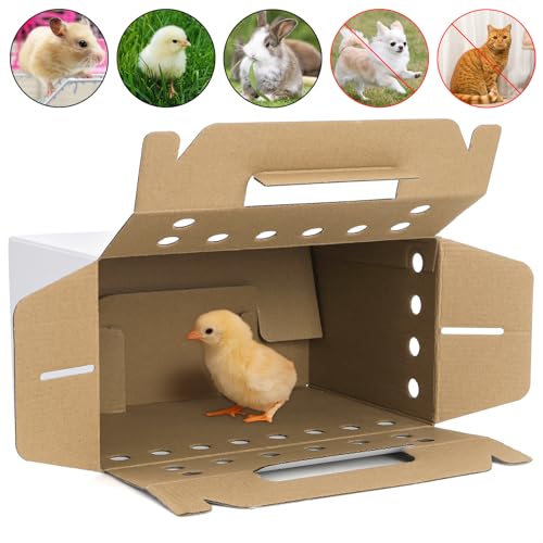 Coloch 20 Pack Cardboard Pet Carrier for Small Pets, 11x8x6 Inches Disposable Pet Transport Box for Pullets, Fowls, Hamsters, Gerbils, Reptiles, Guinea Pigs