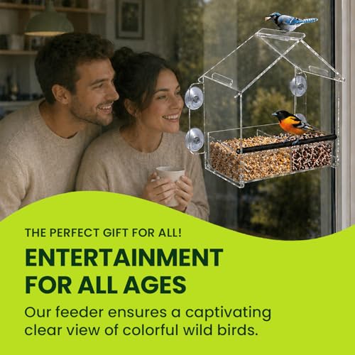 Window Bird Feeder with Strong Suction Cups, Clear Acrylic Window Mounted Bird Feeder, Removable Sliding Tray, Weather-Resistant, Durable, Squirrel-Resistant, Home Style - size: Home