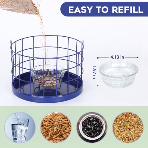 Gbekery Caged Bluebird Feeder for Mealworms with Glass Bowl, Squirrel Proof Bird Feeder for Small Birds Only, Detachable Hook, Large Space, Outdoors Weatherproof, Metal, Blue - style: Blue Glass Bowl