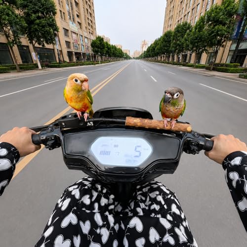 Bird Perch Stand with Clip and Food Bowl for Trash Can, Adjustable & Portable Parrot Stand, Bendable Bird Training Perch for Cockatiels, Conures, Lovebirds and Medium & Small Parrots