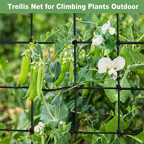 BSTPCOO 2 Pack 4x4 Trellis Netting for 4x4/8x4 Grow Tent, Elastic Scrog Net | Heavy Duty Plant Net with Hooks, Flexible Trellis Net Support for Hydroponics, Outdoor Climbing Plant - size: 3.5" Mesh-4 X 4 FT-2P