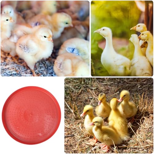 Angoily 2pcs Chick Appetizer Plate Chicken Feeder Plastic Trays Chick Feed Freeze Proof Chicken Waterer Goose Waterer Plastic Hen Feed Tray Fodder Plate Fodder Trays Poultry Feeder Red