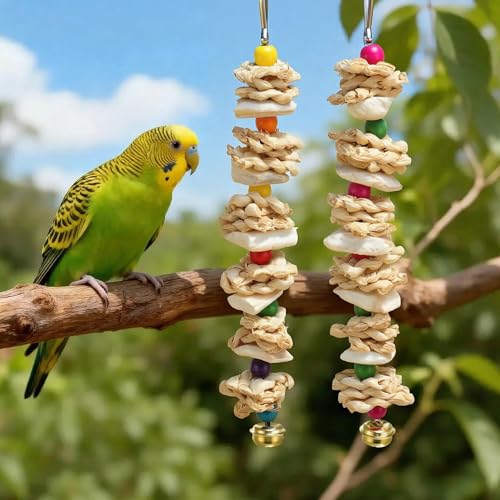 Bird Toys with Cuttlebone, Grinding Stone for Bird, 2 Pcs, B | Prevent Destructive Chewing, Colorful，White - style: Style B