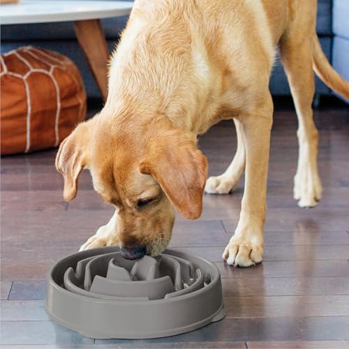 Outward Hound Fun Feeder Slo Bowl – Large 4‑Cup Capacity, Slow Feeding, Medium to Large Dogs, Non‑Slip, Gray, Drop Pattern, 11.75" - color: Gray, size: Large