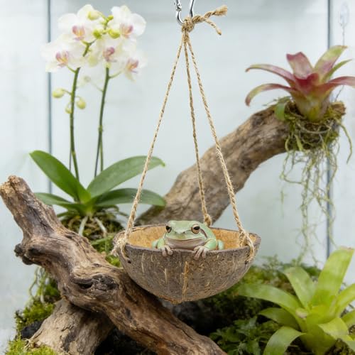 Natural Coconut Shell Frog Swing Toy, Reptile Hammock Bed with Hanging Rope & Metal Buckle, Terrarium Habitat Decor Accessories for Lizard Gecko Bearded Dragon Hamster Birds Hermit Crab Bearded Dragon