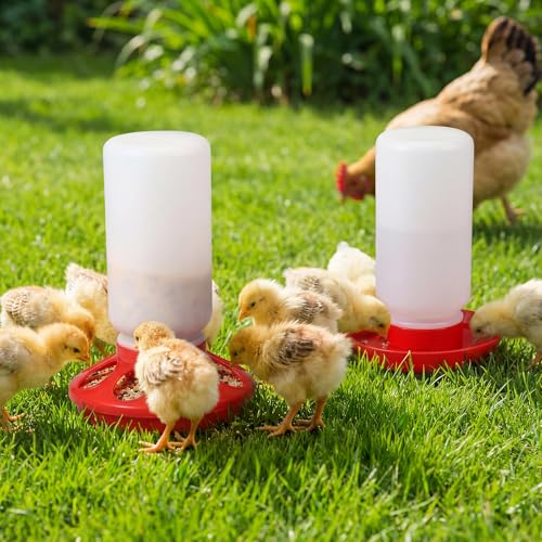 AceOrbit 12 Pcs 0.3 Gal Chick Feeder and 0.3 Gal Waterer Set Baby Chicken Supplies Poultry Starter Kit Plastic No Waste Chick Coop Brooder Accessories for Small Chicken Quail Pigeon Duckling Birds