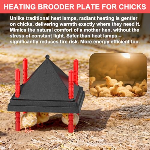 Chick Brooder Heating Plate with Anti Stand Cone, 10"x10" Temp Adjust Black | Adjustable Height Brooder Heater for Chicks, Downward Heat Distribution for Outdoor Barns & Coops - size: 10" x 10" with Temp. Adjustments