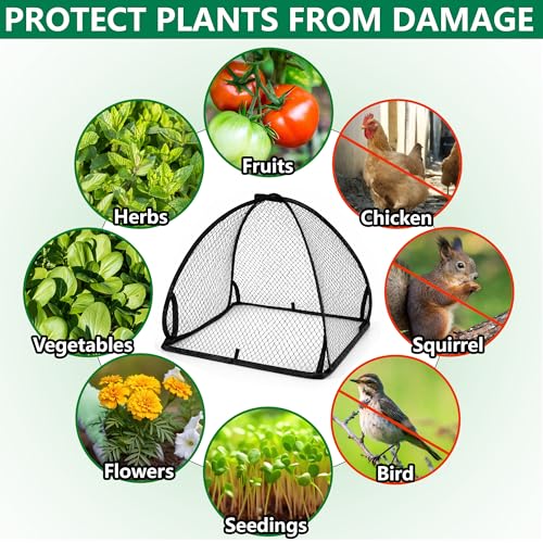 DECOHS 2 Pcs Pop-Up Mesh Plant Cover Tent, 22 x 22 x 22 Inch Garden Net Cage Guard Cover, Plant Protector Enclosure with 12 Ground Stakes for Protecting Plants Vegetable Fruit from Birds Insects - color: 22 x 22 x 22 inch