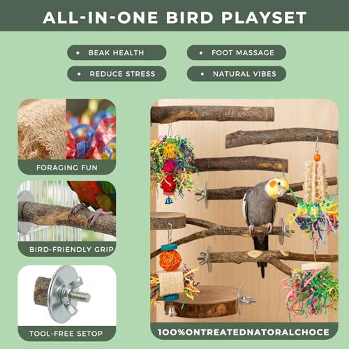 12 Pcs Natural Bird Perches and Shreddable Parakeet Toys, Essential Parrot Cage Accessories with 8 Wood Standsand 4 Shreddable Parakeet Toys, Foraging Shredder and Bird Accessories for Cages - size: 12 Pack