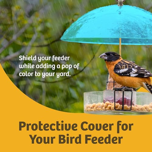 Birds Choice Red Bird Feeder Dome | 10.5" Rain Guard Cover for Hanging Bird Feeders | Outdoor Weather Guard to Help Keep Seed Dry | Domed Acrylic Outdoor Weather Guard for Hanging Feeders to Keep Seed Dry, Heavy-Duty Chrome-Plated Hanger and Hook - color: