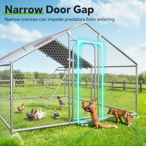 10 x 9.9 x 6.4 FT Metal Chicken Coop, Chicken Run with Cover | Walk-in Metal Chicken Coop, Waterproof Cover, Side Hardware Cloth, Roosting Perch, reinforced frame, Backyard & Farm Use - size: 119.0"L x 119.0"W x 78.0"H
