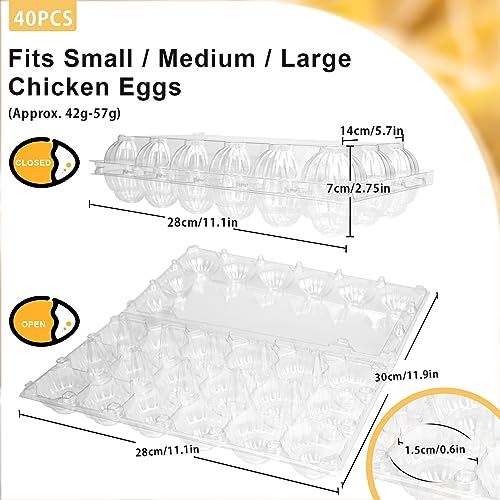 Pintuson 40-Pack Egg Cartons (18 Count) - Clear Plastic Egg Holder for Fresh Chicken Eggs - Reusable 3x6 Gird Egg Container with Secure Snap for Farmers Market & Transport - Fits Small to Large Eggs - color: Medium-40PK-18CT