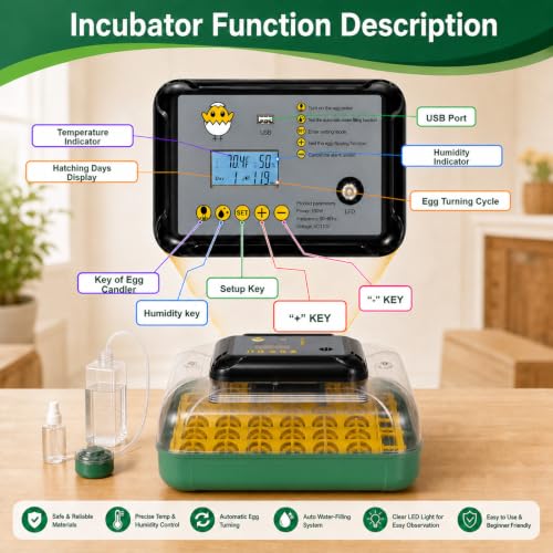 Egg Incubators for Hatching 30 Eggs with Temperature Humidity Control,Green | Chicken Incubator with Humidity Display Auto Water Filling,Quail Incubator with Automatic Egg Turning - color: grass green