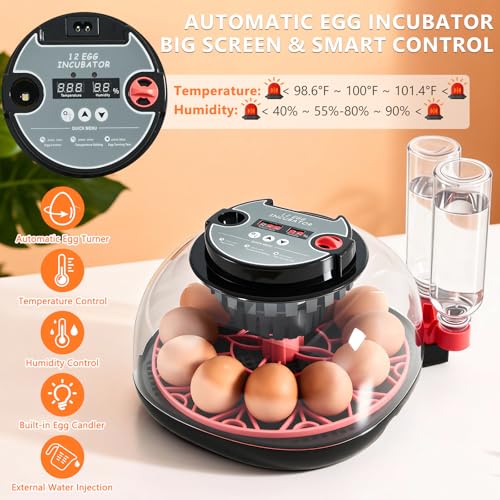 Incubators for Hatching Eggs - 12 Egg Capacity, Egg Incubator with Automatic Egg Turning and Temperature Control, Incubator for Chicken, Duck, Goose, Quail, 360° Full View, Home Farm Classroom Use