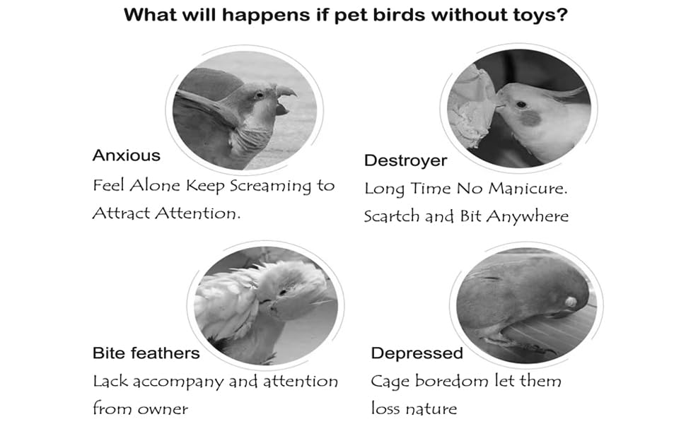 Colorful Bird Xylophone Toy Interactive Training Toy Bird Cage Bell Toy Accessories Music Musical Enrichment Bells for Conure Budgie Cockatiel African Grey Parakeet Finch Parrot Love Birds - color: birdxylophone with bell