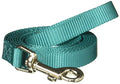 Zack & Zoey Basic Nylon Dog Leash, 6-Feet x 5/8-Inch Lead, Bluebird - color: Bluebird, size: 6-Feet x 5/8-Inch Lead