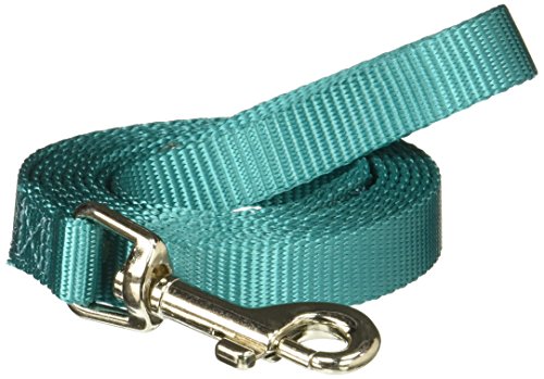 Zack & Zoey Basic Nylon Dog Leash, 6-Feet x 5/8-Inch Lead, Bluebird - color: Bluebird, size: 6-Feet x 5/8-Inch Lead