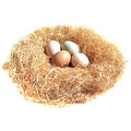 BWOGUE 100g/3.5oz Natural Chicken Hay, Grass Nest Bedding for Hens & Birds | Chicken Laying Pads, Hay for Chicken Coop Nests, Nesting Pad, Soft Laying Surface, Easy Nest Box Placement, Helps Reduce Mess