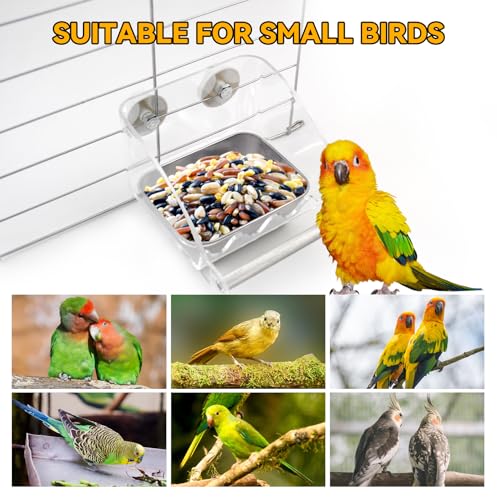Bird Feeder for Cage,Parakeet Cage Feeder No Mess Bird Dish with Anti-Slip Stand Stainless Steel Parrot Bowl for Small Budgies Finches Canaries Cockatiels Lovebirds - color: 【Grey】