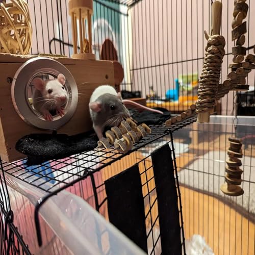 3pcs Small Animal Chews Toy Natural Apple Wood Block Cage Hanging Molars Treats Snack for Hamsters Rabbits Bunny Bird Parrots Chinchilla Guinea Pig Gerbils Squirrels