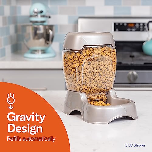 Petmate Pet Cafe Feeder Dog and Cat Feeder Pearlescent Colors 3 Sizes, Made in USA - color: Pearl Silver, size: 3 lb
