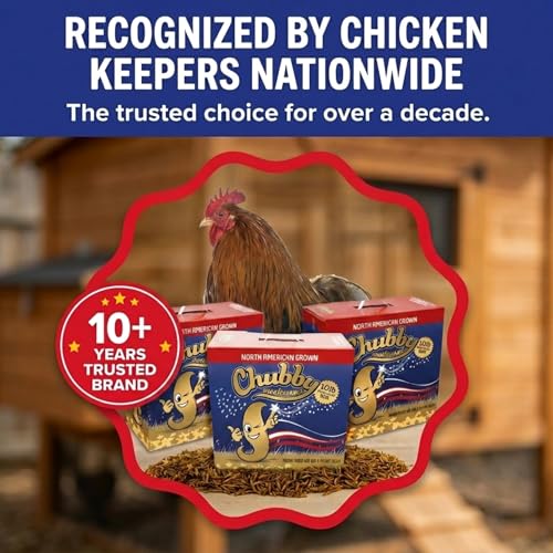 Chubby North American Grown Dried Mealworms | 30 lbs | Non-GMO High-Protein Treats for Chickens, Ducks & Wild Birds – Sustainable Chicken Feed - size: 30 Pound (Pack of 3)