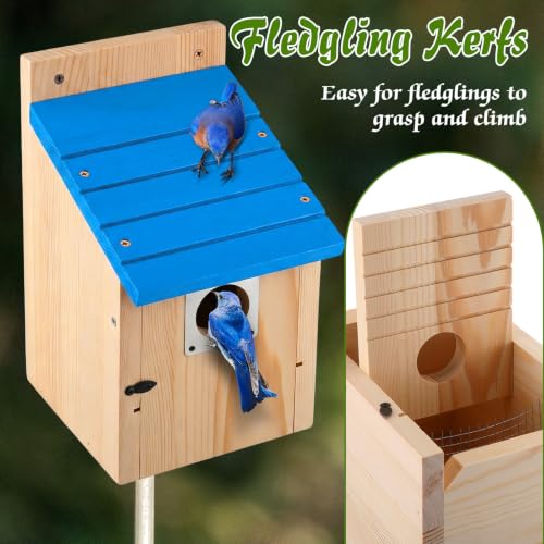 Dreyoo 4 Pack Bluebird Houses for Outside with Metal Predator Guard, 1-1/2" Entrance Hole Wooden Blue Bird Houses for Outdoors, Bluebird Nesting Box(Blue Roof, Wood Body) - color: Blue Roof, Wood Body