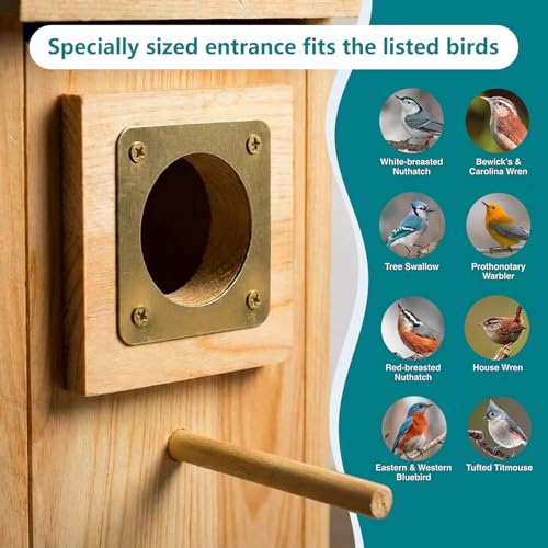 Bird Houses for Outside Clearance with Copper Guard, Pine Bird House Outdoor, Bluebird Finch Swallow Wren Chickadee No Assembly Required, 2 Packs