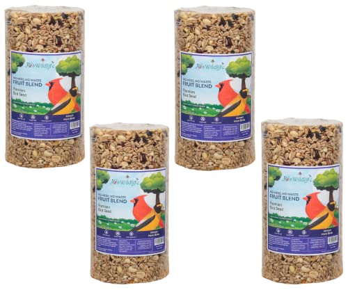 JCs Wildlife No Mess No Waste Fruit Blend Bird Seed Cylinder with Hole, Hull Free Wild Bird Food for Outside Feeders, Cardinals Woodpeckers Chickadees Nuthatches Wrens, Made in the USA, 2 lb Pack of 4 - size: 8 Ounce (Pack of 4)