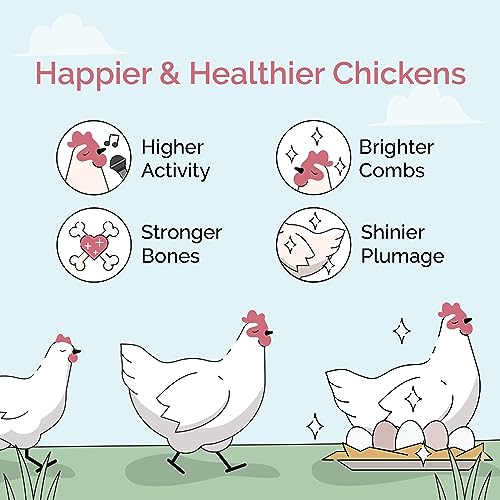 Mile Four Organic Chicken Feed (23 lbs) Grower Whole Grain, Non-GMO, USA Grown, 18% Protein, Corn-Free, Soy-Free, Non-Medicated Feed for Chickens - size: 23 Pound (Pack of 1)