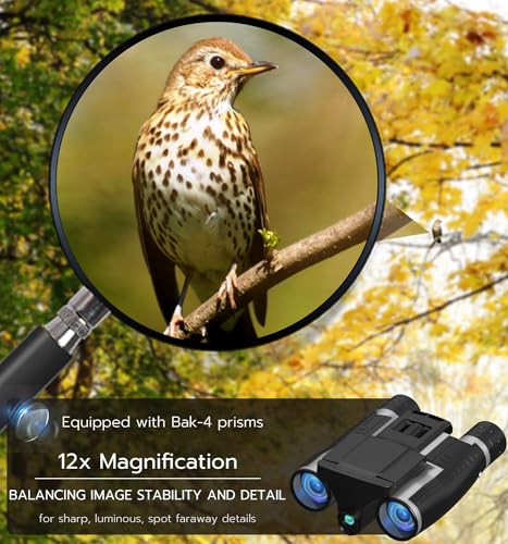 Anweller Binoculars with Camera, 12x32 High Powered Compact Binoculars for Adults and Kids, for Bird Watching, Cruise Ship, Hunting, Travel, Hiking, Sport Games, Concert, with 8GB Card