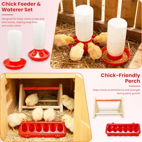 All-in-One Chicken Brooder Box for Chicks Starter Kit with Timer Heat Lamp & Stand, Perch, Sawdust, Feeder & Waterer, Large Sturdy Poultry Brooder for Up to 30 Baby Chicks, Ducks & Quail