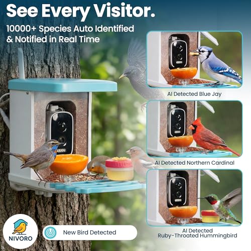 AI Smart Bird Feeder with Camera - Solar Powered Bird Feeder, 2.5K Video, 10,000+ Species ID - 50m App Range, Two-Way Audio - with Hummingbird Feeder - IP65 Waterproof, Night Vision, 1.5L