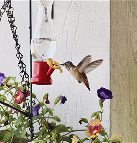 Mini Hummingbird Feeder 4 Pack 2.3oz Small Nectar Plastic Red Cute Hummingbird Feeders with Hanging Wires for Outdoor (Tulip Tube) - style: Tulip Tube