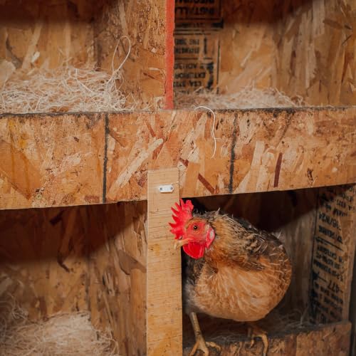 Eaton Pet and Pasture Nesting Pads for Laying Hens, 13" x 13", 10 Pack