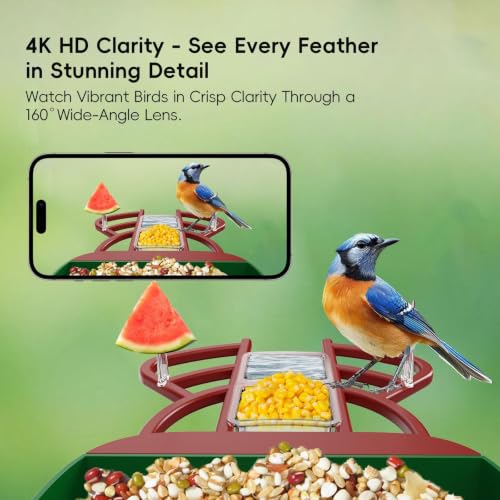 Smart Bird Feeder with Camera, Solar Panel & 5200mAh Battery, 4K HD Video, AI Identification, Instant Arrival Alerts & Alarm, IP65 Weatherproof, 32GB Card, 2L Capacity, for Bird Lover - color: Red Green