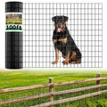 Welded Wire Fence, 100t(L) x 36inch(H) PVC Anti-Rust Coated Wire Mesh, 2 Inch x 3 Inch 16GA Garden Edging Border, Roll Metal Animal Barrier for Yard Vegetable Plant Protection Poultry Netting - size: 100ft(L) x 36inch(H)
