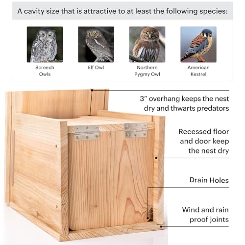 WHITEHORSE Large Cedar Owl House - Premium and Weatherproof Design - 16" x 12" x 11" - A Nesting Box for Screech Owls, Boreal, Northern Pygmy, Saw-whets, Elf, Flammulated, Kestrel and Others